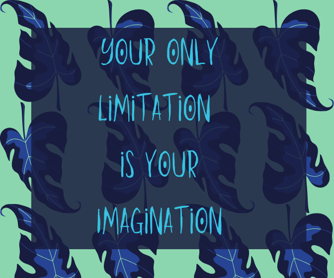 Your only Limitation is your Imagination